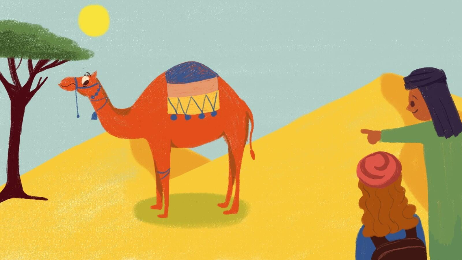  Callum the Camel: the Dromedary of the Draa - the voice of Alice Morrison 